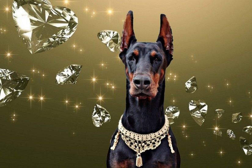 light dog art diamond doberman computer wallpaper dog like mammal dobermann