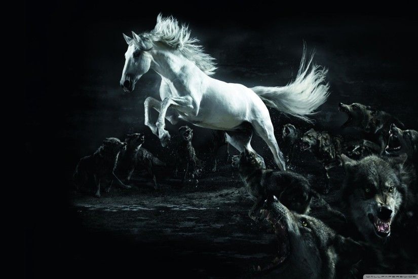 Horse and Wolves HD Wide Wallpaper for 4K UHD Widescreen desktop &  smartphone