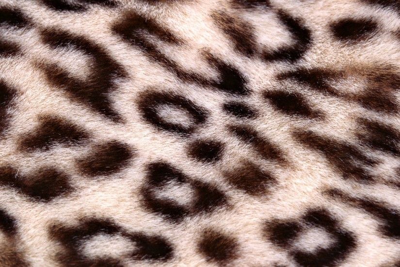 3840x2160 Wallpaper leopard, background, texture, spotted