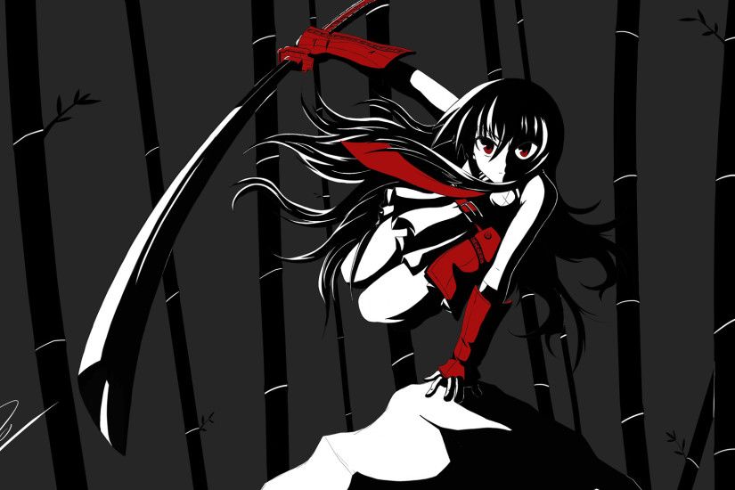 Akame Ga Kill Anime Sword Eidoshooter Girl Anime