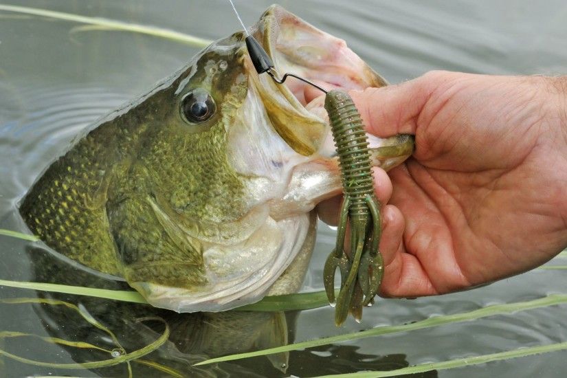 When an angler conjures up visions of catching largemouth bass, the scene  usually includes some sort of surface lure being smashed by a hungry bass  as the ...