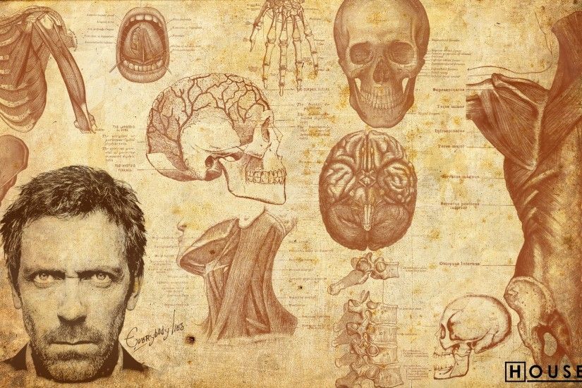 TV Show - House Hugh Laurie Gregory House Wallpaper