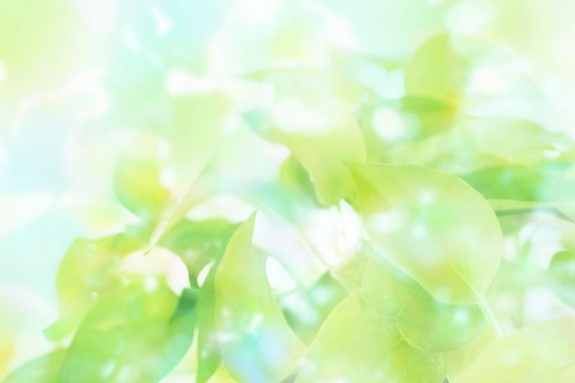 Bright Leaves HD Widescreen Desktop Wallpaper | HD Wallpapers Source
