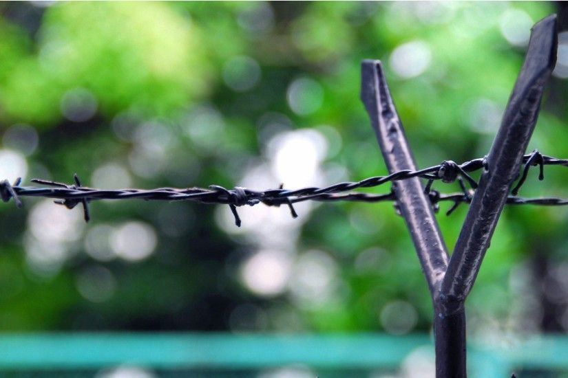 Barbed Wire Fences