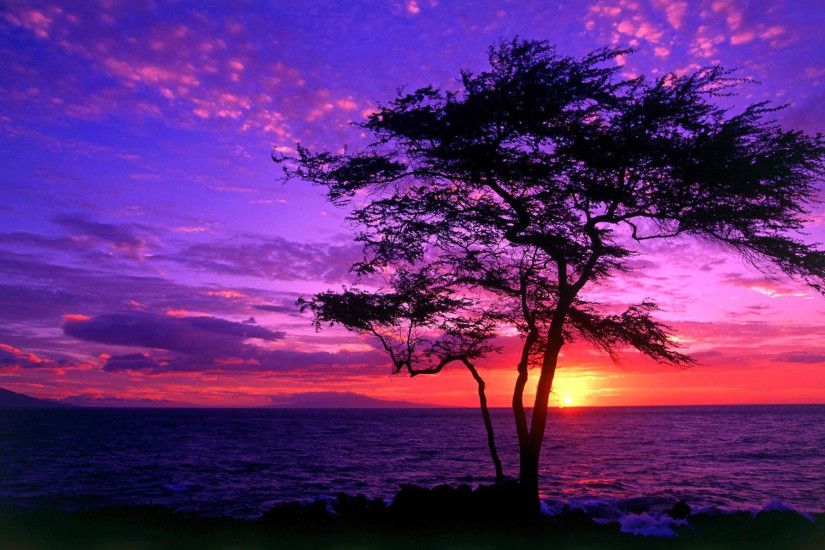 Purple Sunsets 23197