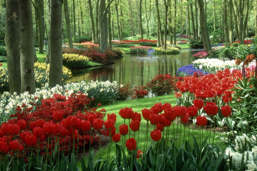 Image Beautiful Nature wallpaper desktop 1080p.