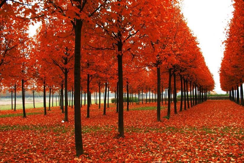 photos of seasons | Autumn season hd Wallpaper, Seasons of Autumn Wallpapers .