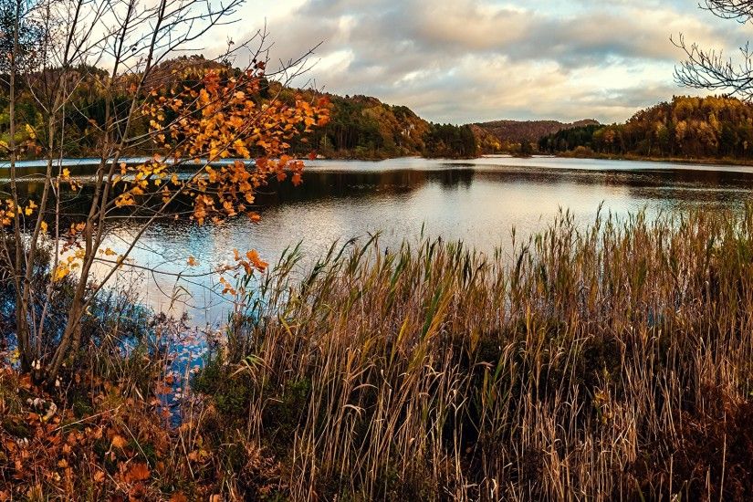 3840x2160 Wallpaper fall, pond, swamp, grass, dry, trees