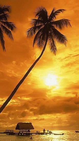Samsung Galaxy S5 Wallpapers – Sunset (17)