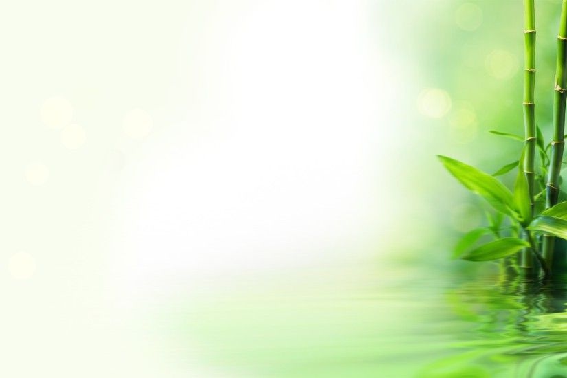 Green Wallpaper 28: Bamboo Reflection HD Desktop Background