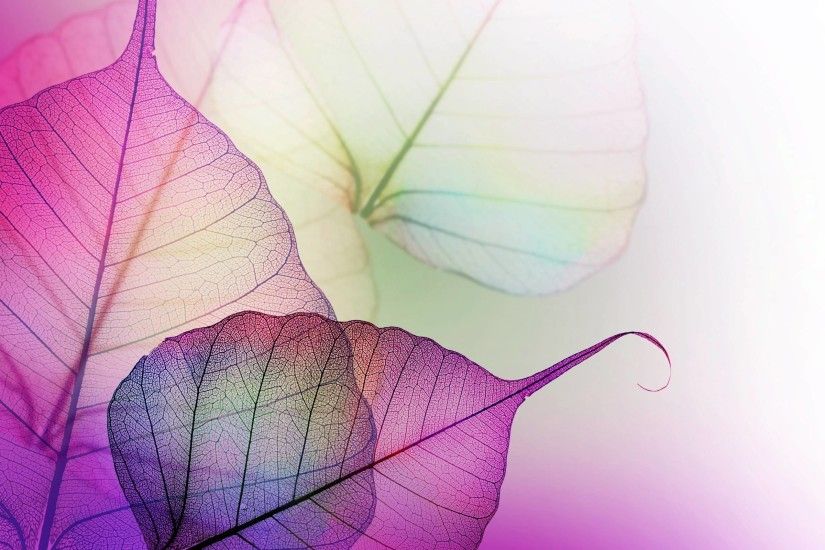 Purple lilac leaves wallpaper | 2560x1600 | 112552 | WallpaperUP