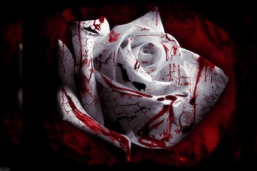 Halloween Bloody White Rose Wallpaper