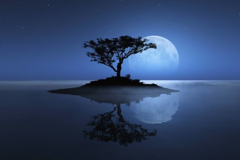 Birds and tree under the blue moon wallpaper Fantasy wallpapers