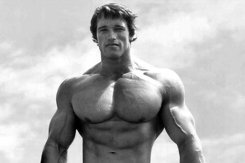 Arnold Schwarzenegger Â· HD Wallpaper | Background ID:426586