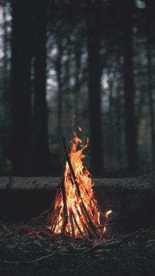 General 1080x1920 nature landscape portrait display wood fire branch trees  forest burning campfire leaves dark depth