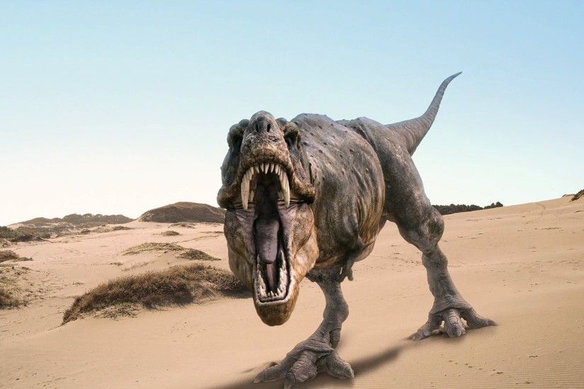 new dinosaur movie 2014 | Dinosaurs 160 Tyrannosaurus Dinosaurs Wallpapers  HD Free 284222