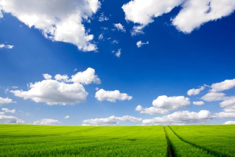 Pastoral and blue sky wallpaper