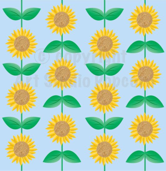 491 Sunflower background
