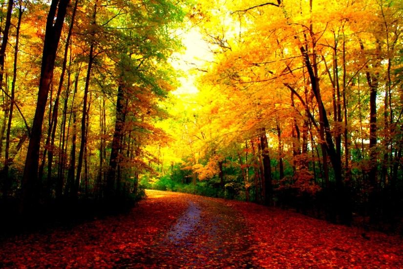 HD Beautiful Autumn Wallpaper | Download Free - 78914