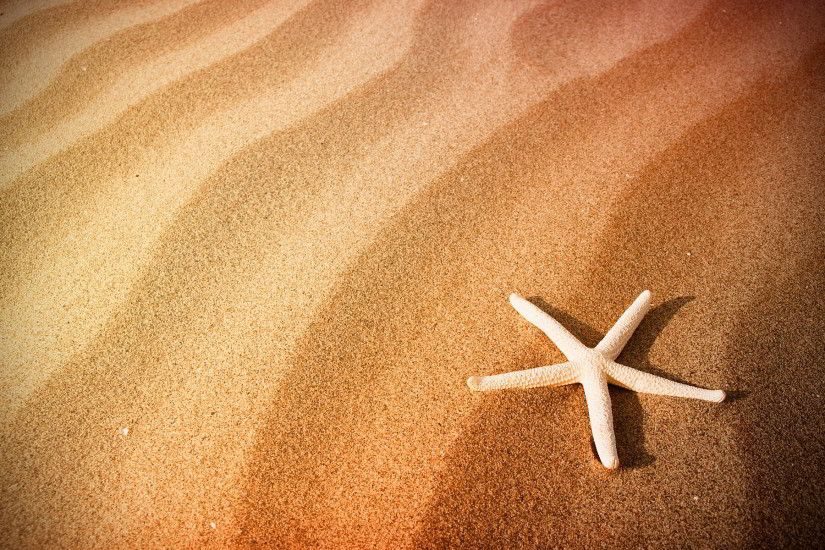 sand wallpaper starfish. Â«Â«