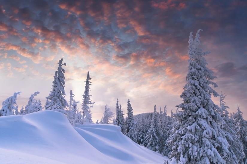 download free winter wallpaper 1920x1080 pictures