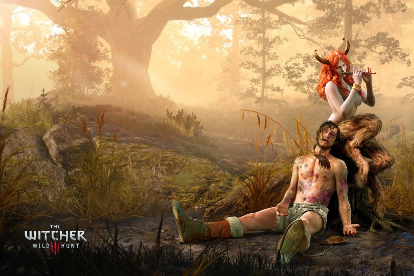 Download game the witcher 3 wild hunt the succubus wallpaper & Background  Free - Images, Photos, Pics