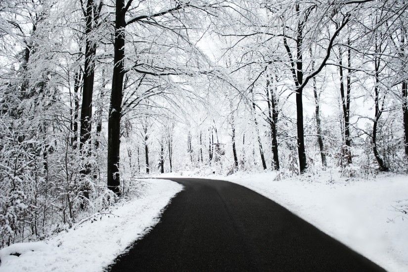 road Snow Black White Winter Forest Nature Wallpapers HD 2560Ã1600