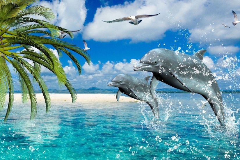Dolphin Desktop Background