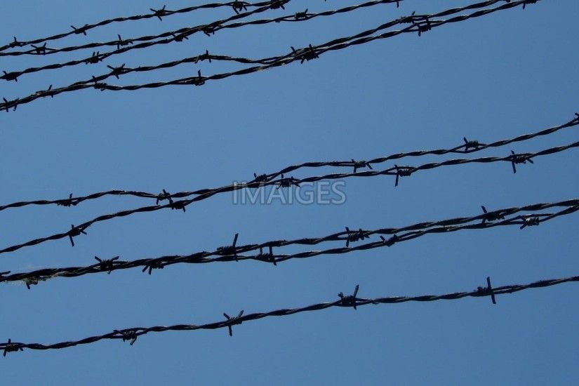 Barbed Wire, Bondage, Prison, Freedom
