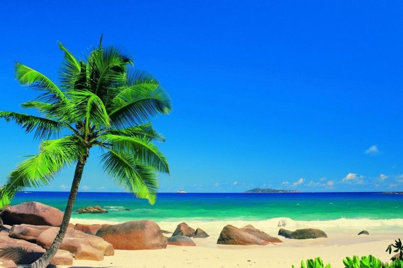 Beautiful-Beach-Backgrounds-Palm-Trees-High-Definition-Wallpapers-7ual.com_