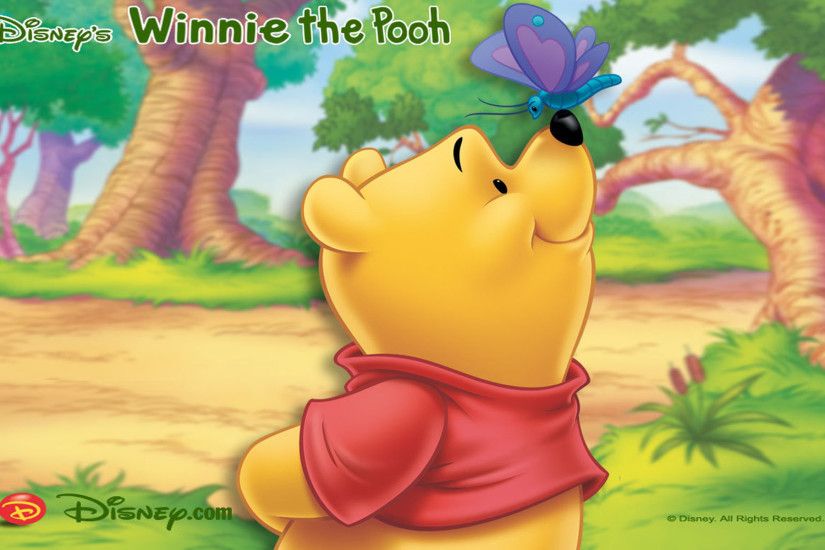 Winnie The Pooh Disney Wa.