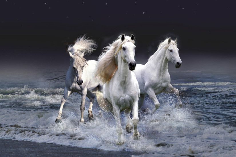 beautiful horse wallpapers Latest Horse Pics ...