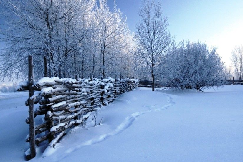 1920x1080 winter scene photos | Download Superb Winter Scene wallpaper  300478