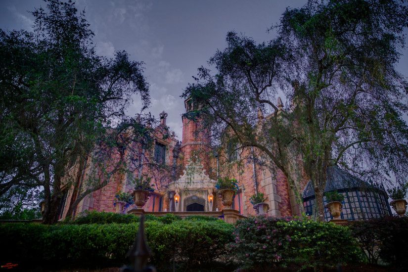 299 best images about <b>Haunted Mansion</b> Props on Pinterest
