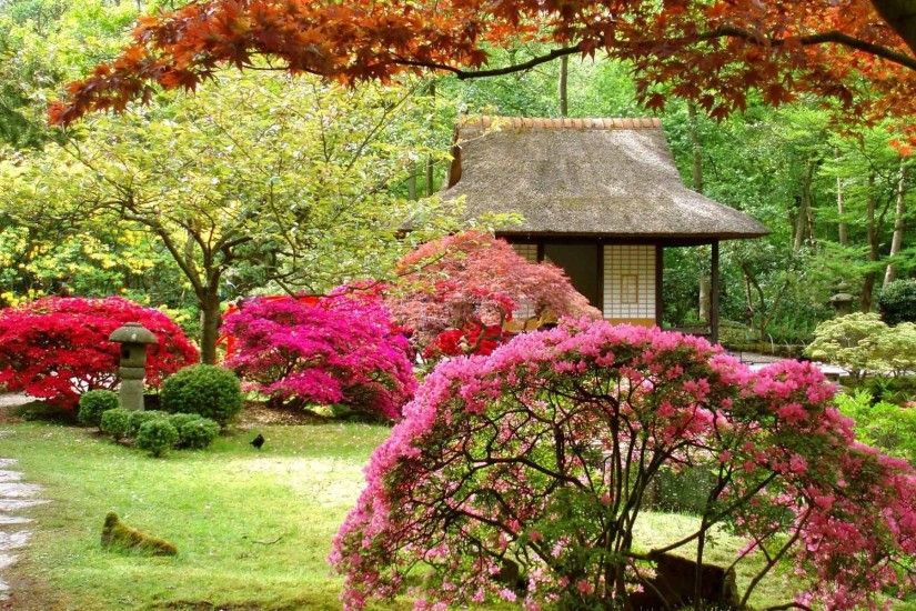 Landscapes Japanese Asian Garden Flowers Spring Japan Nature Wallpapers HD  Free Download
