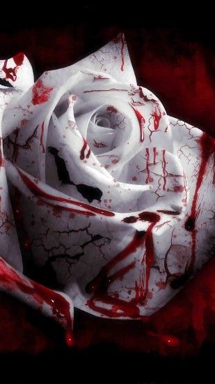 ... Rose wallpaper darkblood wallpaper id dongetrabi black and white rose  painting images dongetrabi bleeding white rose ...