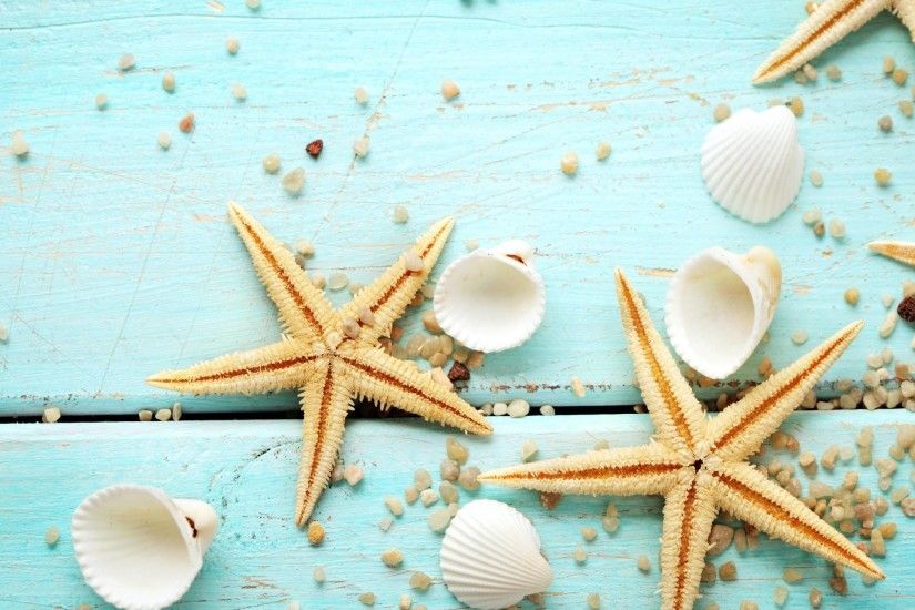 Sand Shells Snails Starfish Beach HD Wallpaper | ÎµÏÎ¹ÎºÎ­ÏÎµÏ | Pinterest |  Starfish and Snail
