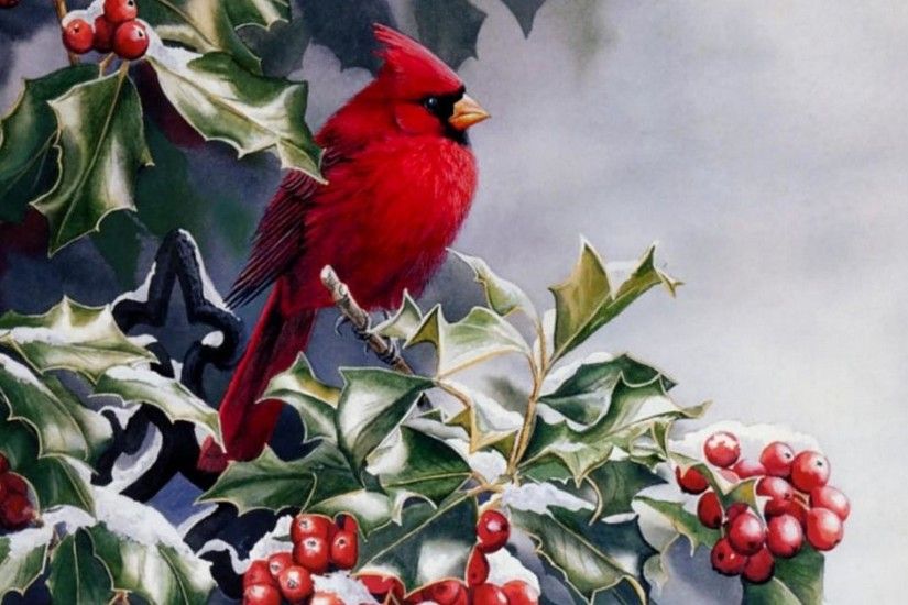 Widescreen Winter Bird Wallpaper - WallpaperSafari