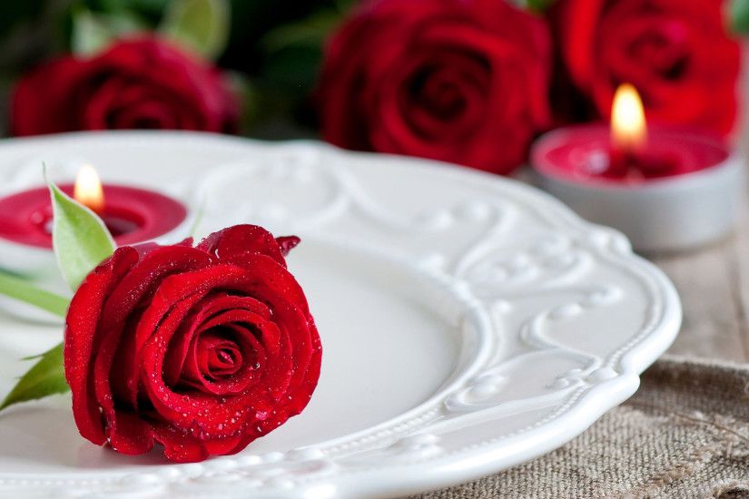 what-a-beautiful-look-red-roses-free-wallpapers-