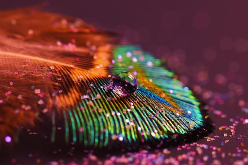 4K HD Wallpaper: Peacock Feather. Water Drop & Glitter