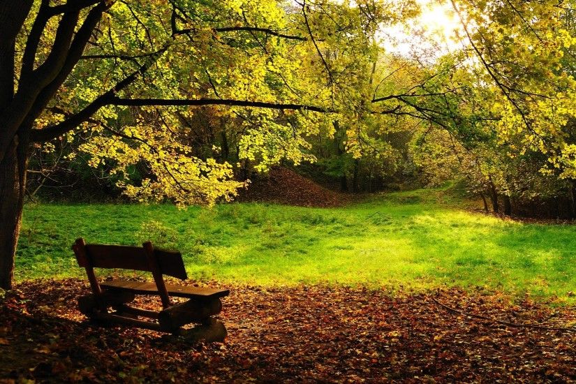 autumn-season-beautiful-desktop-wallpaper autumn HD free .