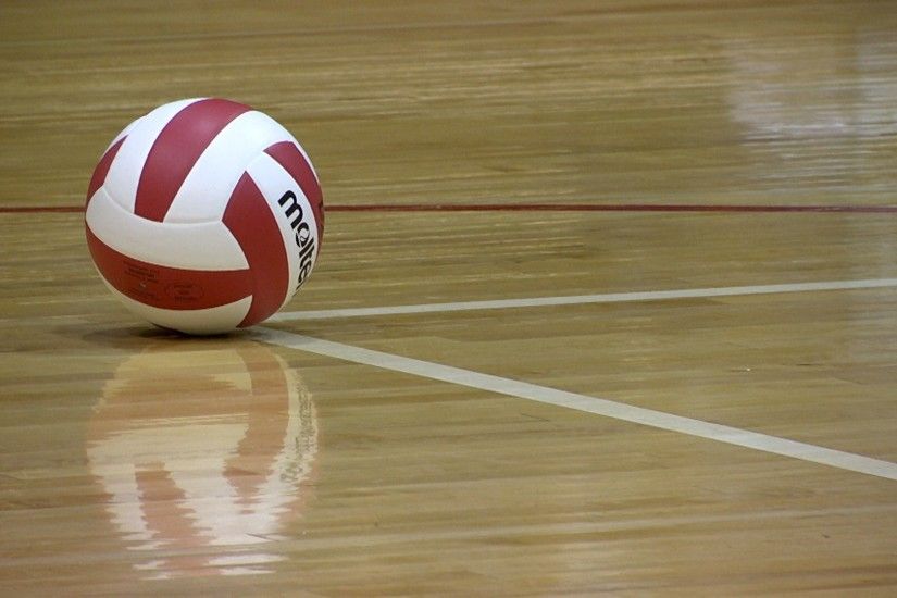 0 Volleyball Wallpapers Images Photos Pictures Backgrounds Volleyball  Wallpapers Images Photos Pictures Backgrounds