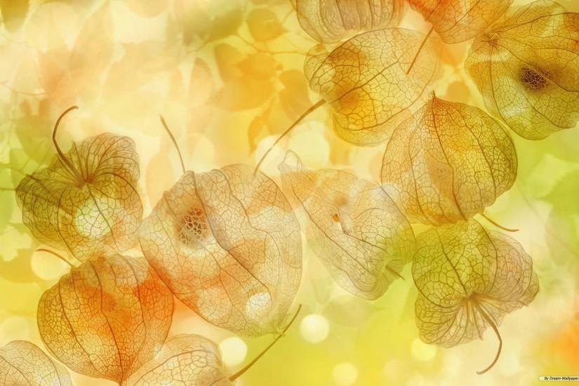 vertical autumn background 1920x1200