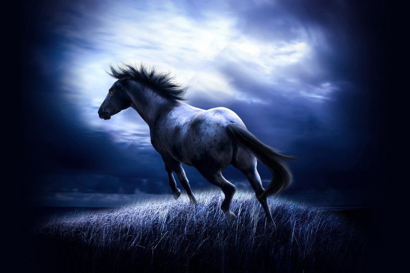 horse wallpapers blue