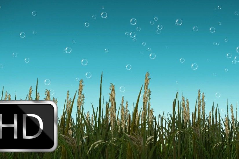 Free Nature Motion Background with Beautiful Bubbles Moving Background  Animation! - YouTube
