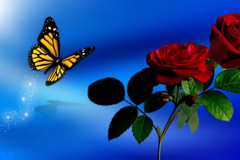 Butterfly Sky Spring Blue Roses Red Flowers Wallpapers Hd For Facebook