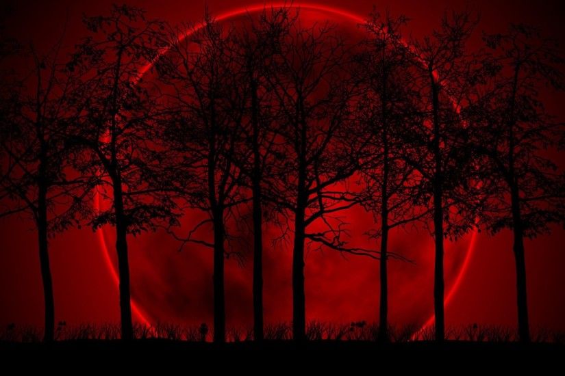 tree red black moon darkness darkness background