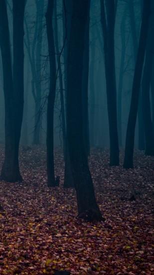 Spooky Autumn Forest Leafbed iPhone 6 Plus HD Wallpaper
