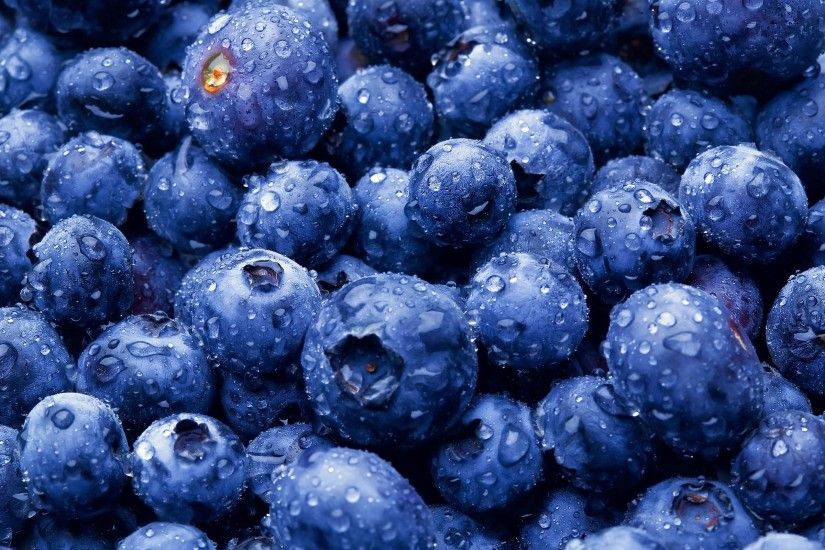 Blueberries Berries Close-Up HD Wallpaper