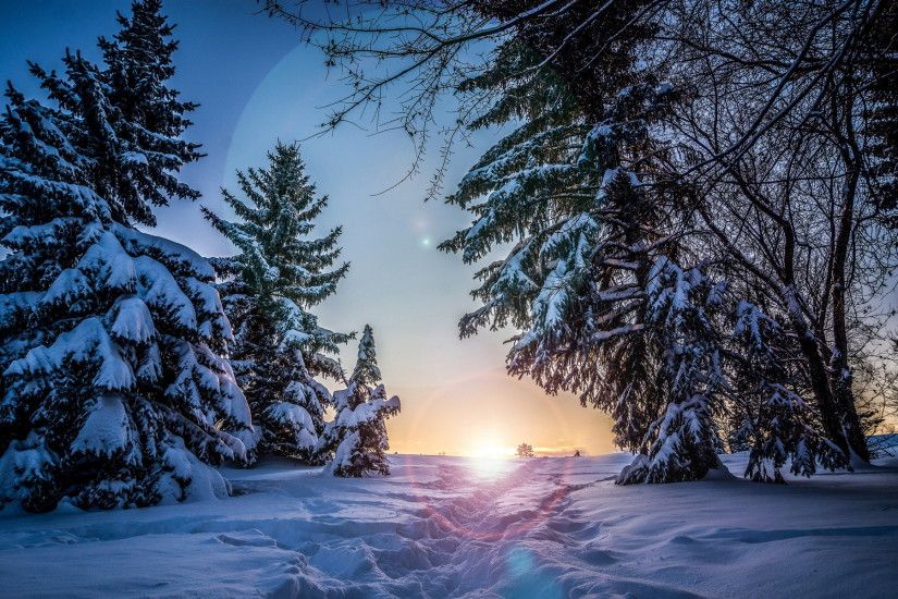 Path To Sunset In Snowy Forest wallpapers and stock photos